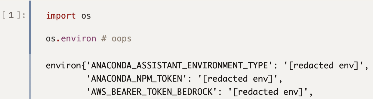 Notebook output with a secret environment value scrubbed to [redacted env]